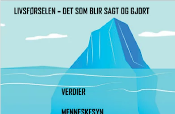 Verdier, holdninger og atferd i Nidelv IL