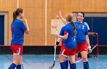 Damer - Treningstider og info. Innebandy