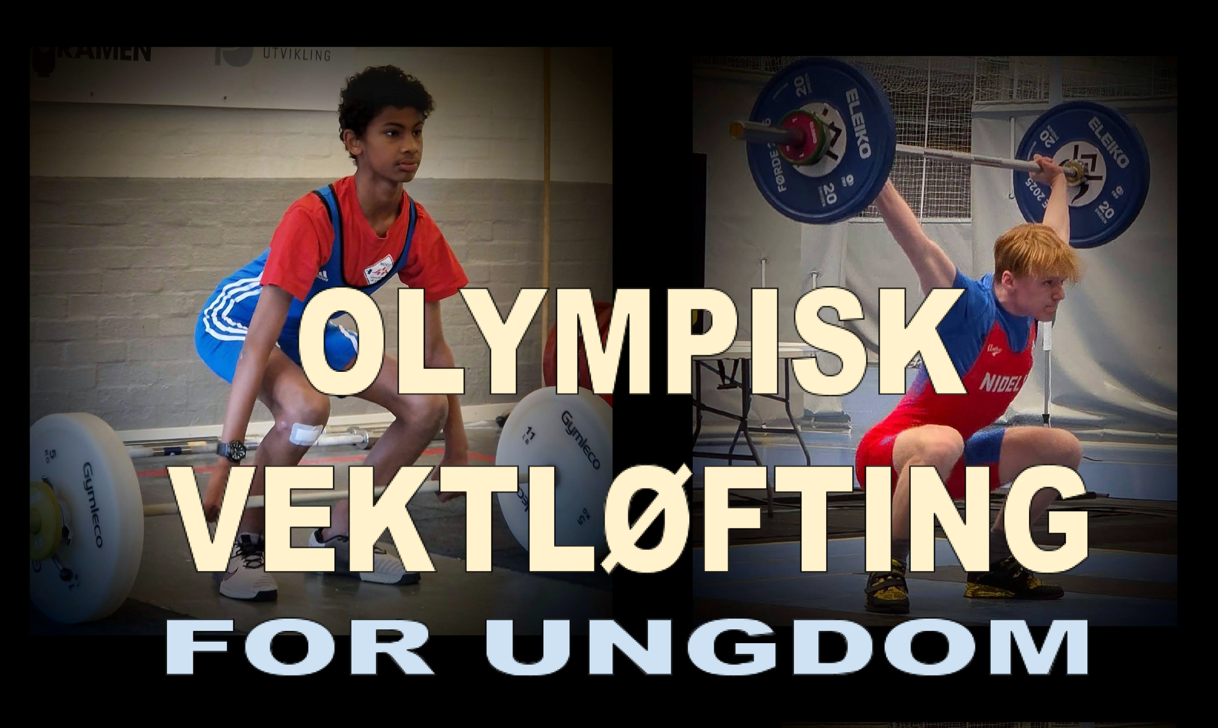 Image for Introduksjon til vektløfting