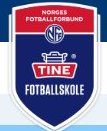 Tine fotballskule på Halhjem 12. , 13. , 15. og 16. august 2024 (4 dager)