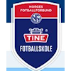 Tine fotballskule på Halhjem 12. , 13. , 15. og 16. august 2024 (4 dager)
