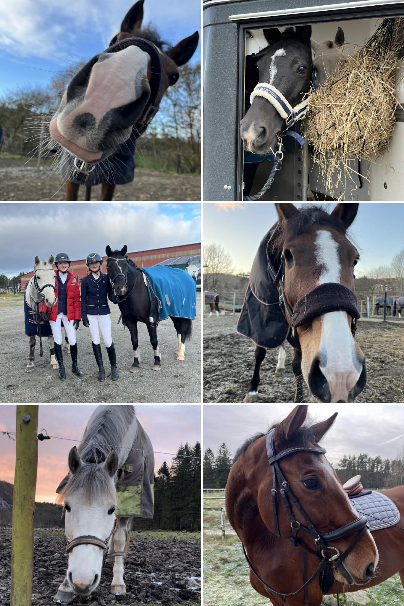 Image for Viktig årsmøte!