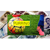 Purring treningsavgifter Driv IL Fotball 2024 og 2023!