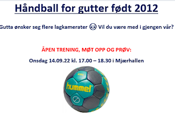 Håndballgutter født 2012 ønsker seg flere lagkamerater, kom og prøv 14.09.22