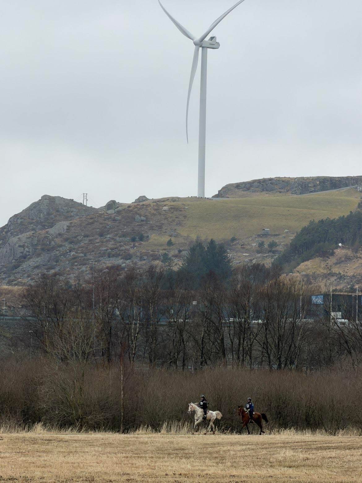 Image for Kyllingstad distanseritt: Påskekyllingen 2026!