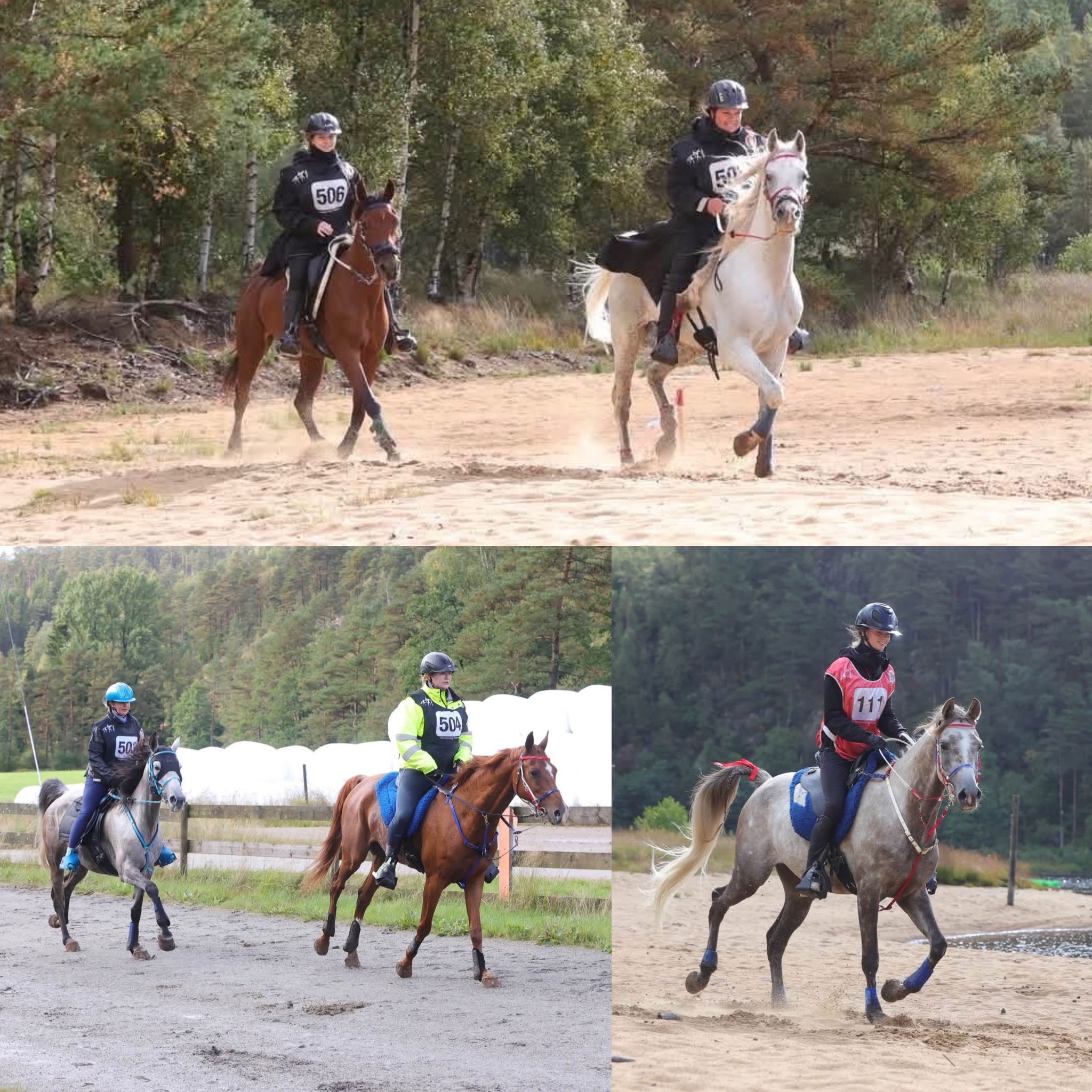 Image for NM og Gyland Endurance Festival