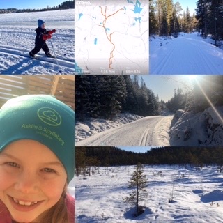 24-timers renn endte på 4323,64 km. Fantastisk innsats :)