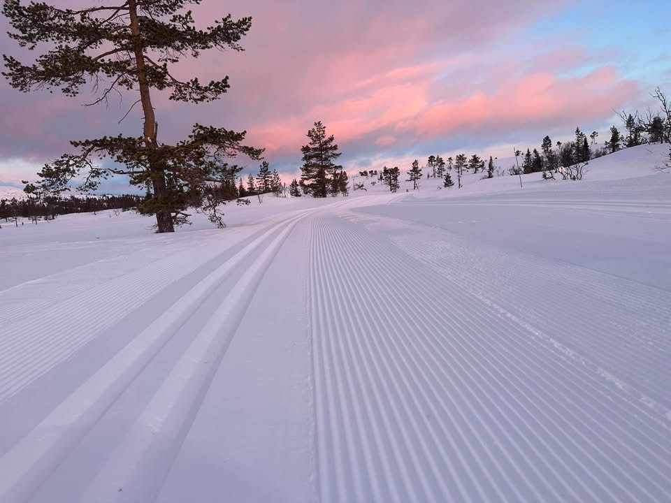 Vassfarfjellet løypelag lanserer ny hjemmeside