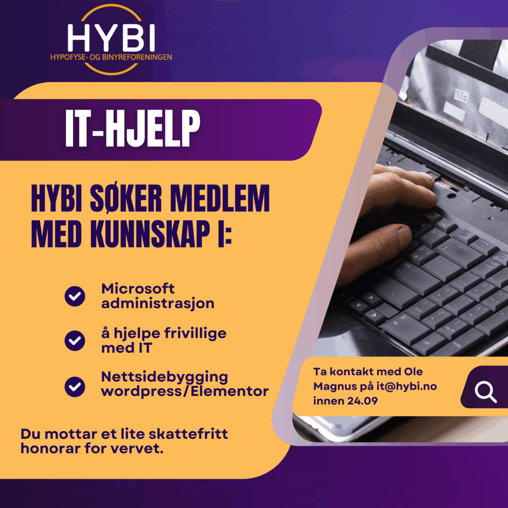 Image for HYBI søker IT-hjelp