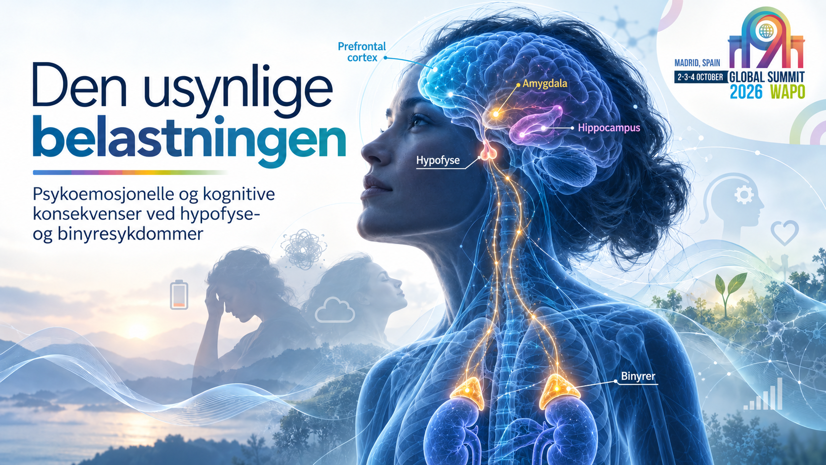 Kognitive vansker ved hypofyse- og binyresykdommer