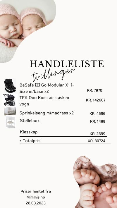 Image for Hva koster det å få tvillinger
