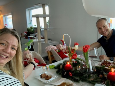 Image for Den første julen