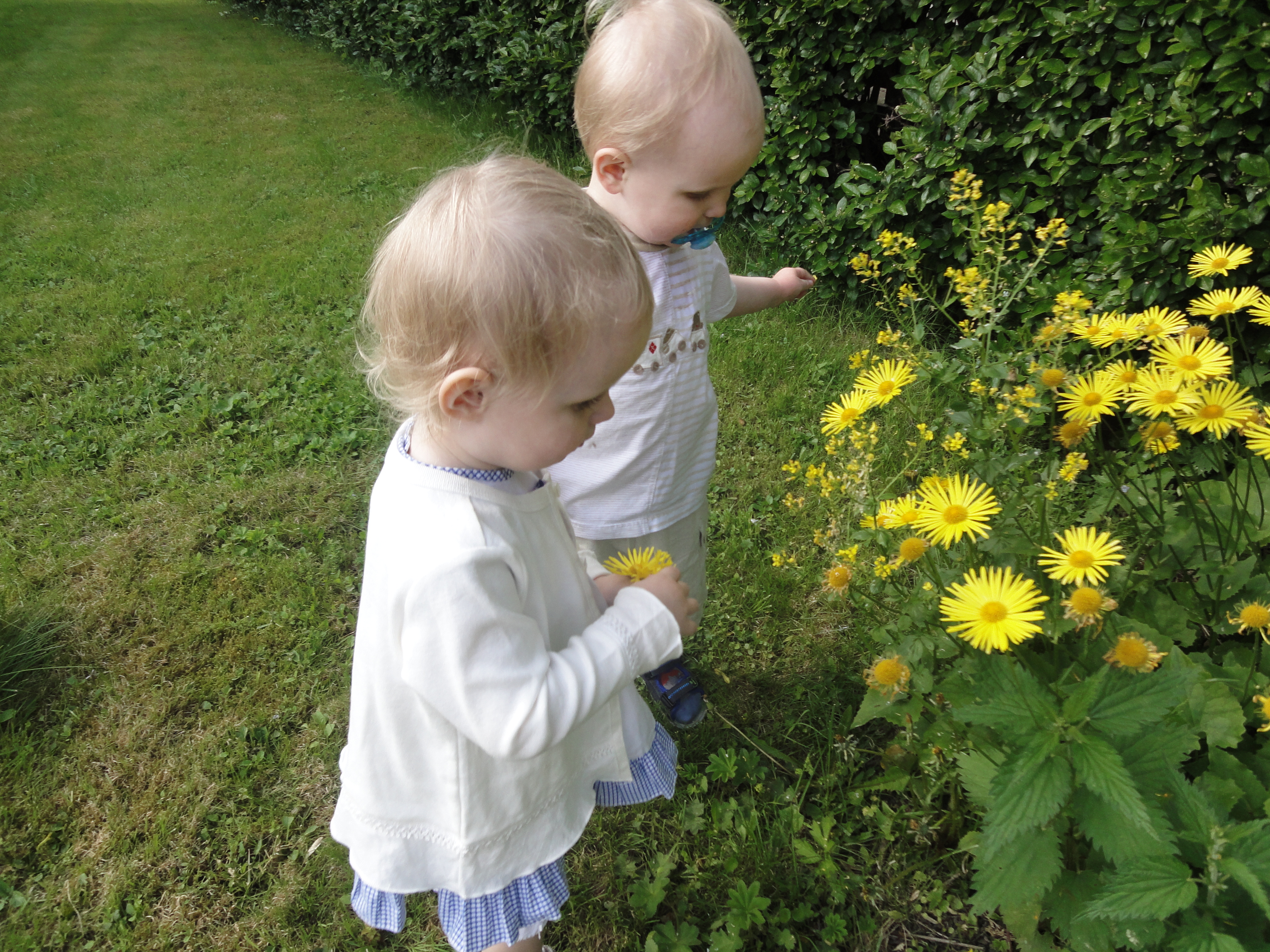 Image for Sommerstengt