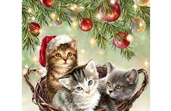 Avlyst - Julemesse 21.11.20