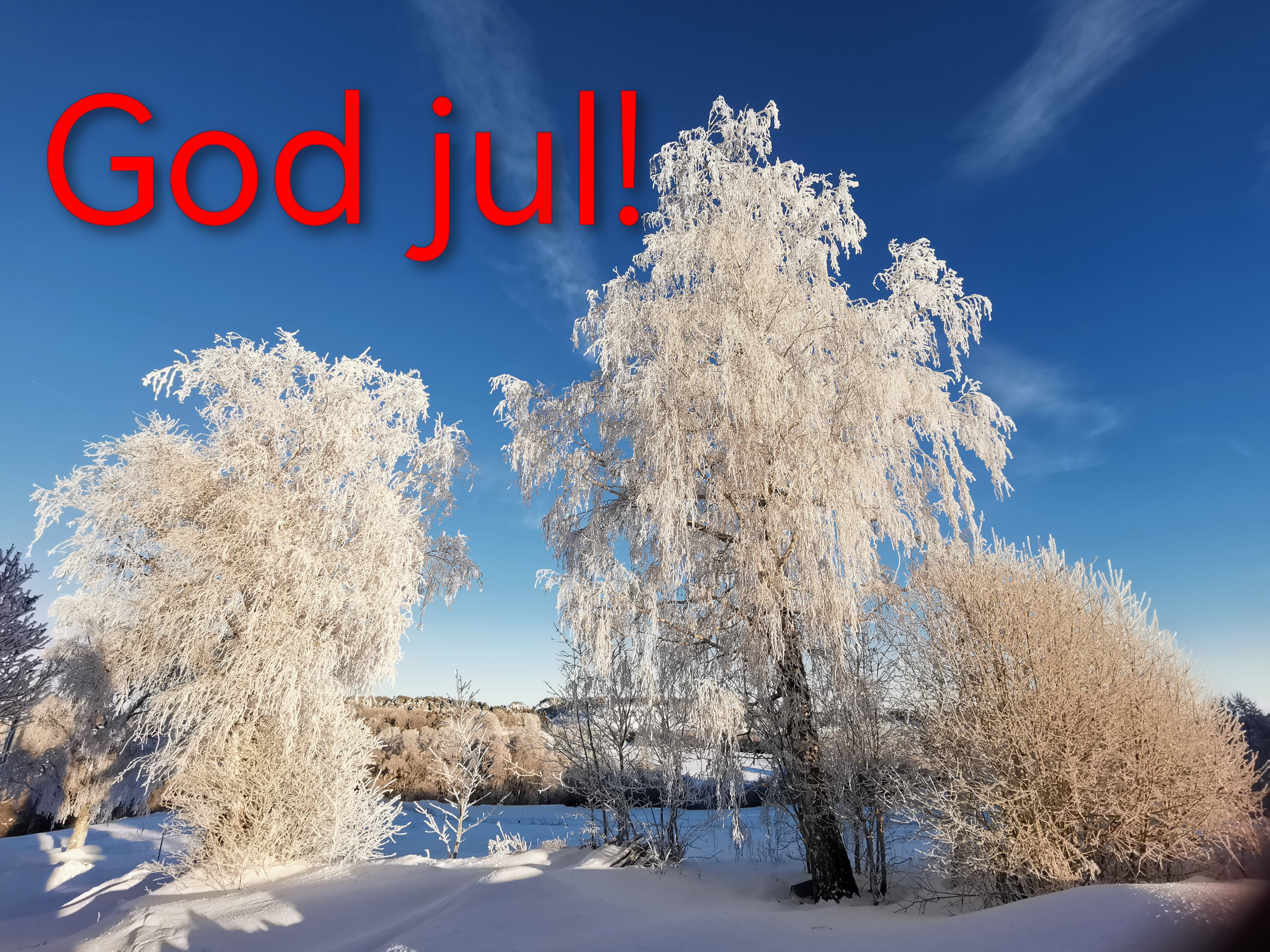 God jul!