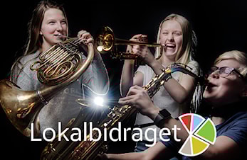 STEM PÅ LOKALBIDRAGET