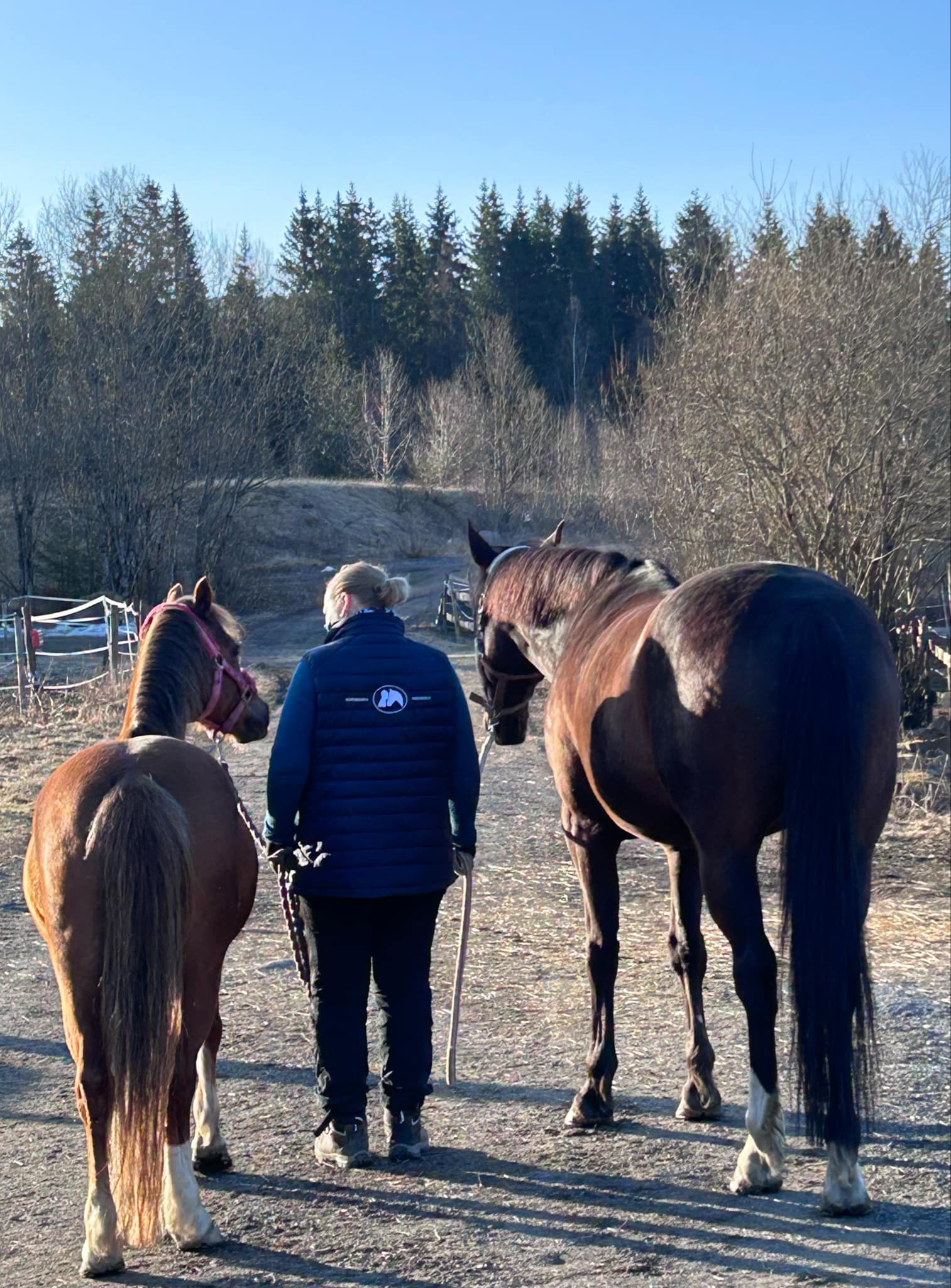 Image for Vi starter opp nybegynnerkurs for voksne etter påske