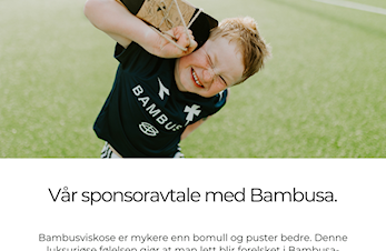 Bambusa dugnad