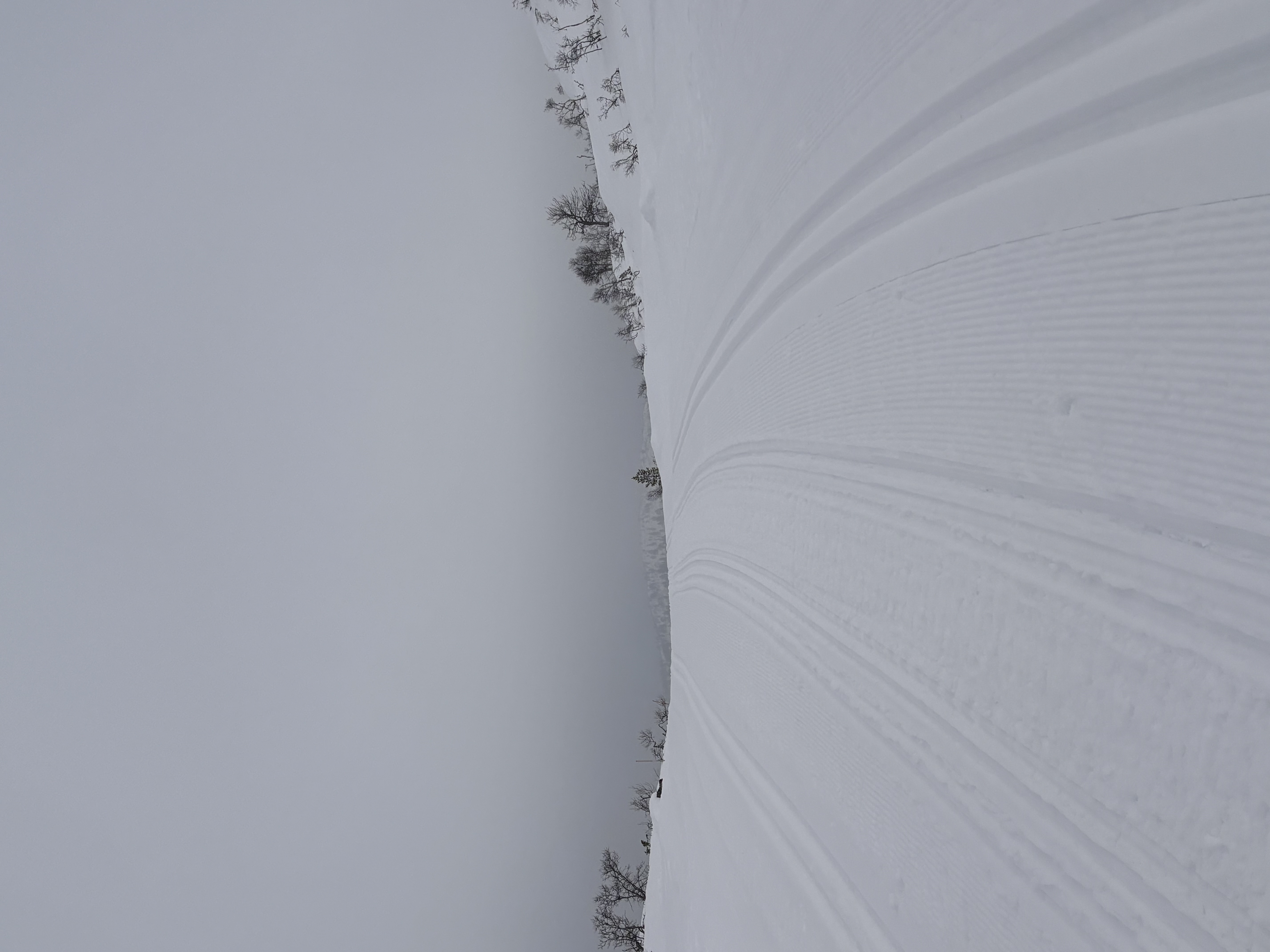 Smøretips for morgendagen renn, oppdatert i dag🙂