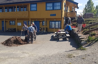 Furuskråningen