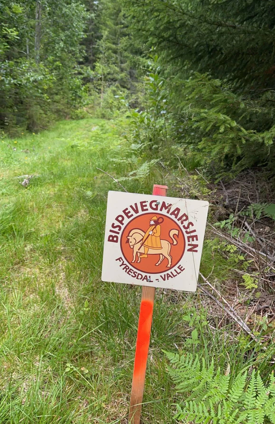 Godt og vel 60 deltakarar på årets marsj
