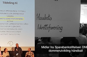 Tildeling fra Sparebankstiftelsen DNB - 15.mai 2019