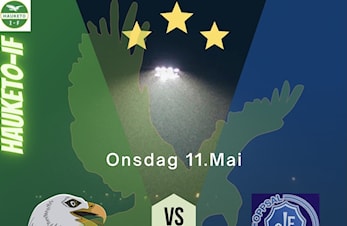 Hauketo menn senior tar imot Oppsal