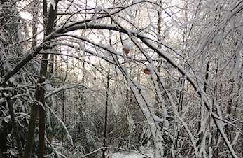 God jul og godt nytt år