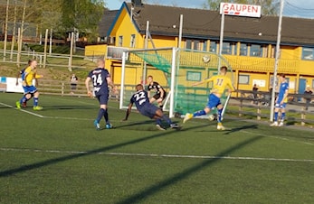 Ringsaker - Storhamar 8-4 (4-1)