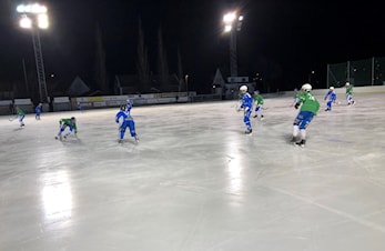 LITE TÆL MOT HØVIK