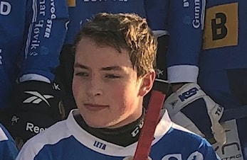 LANDSLAGSAKTUELLE SARPINGER