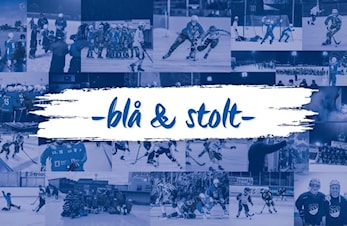 Innkalling til årsmøte sesongen 19/20