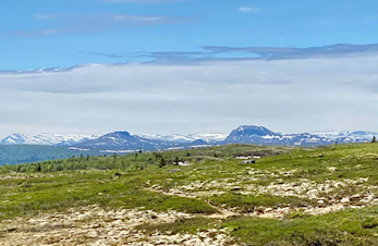 SOMMARTRIMMEN 2020