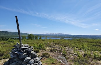 Sommartrimmen 2021