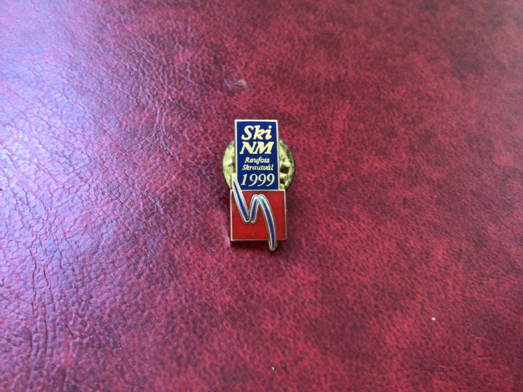 Årsmøte i organisasjonen NM ski nordiske grener 1999