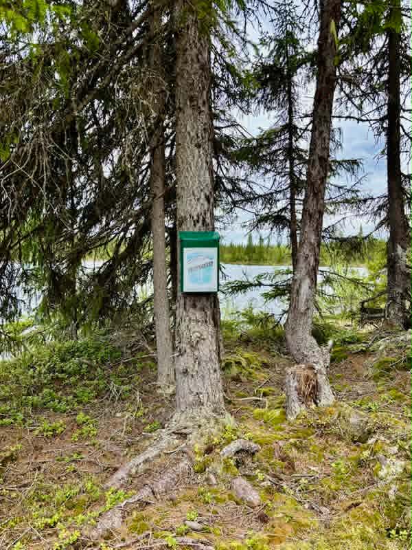 Sommartrimmen 2026