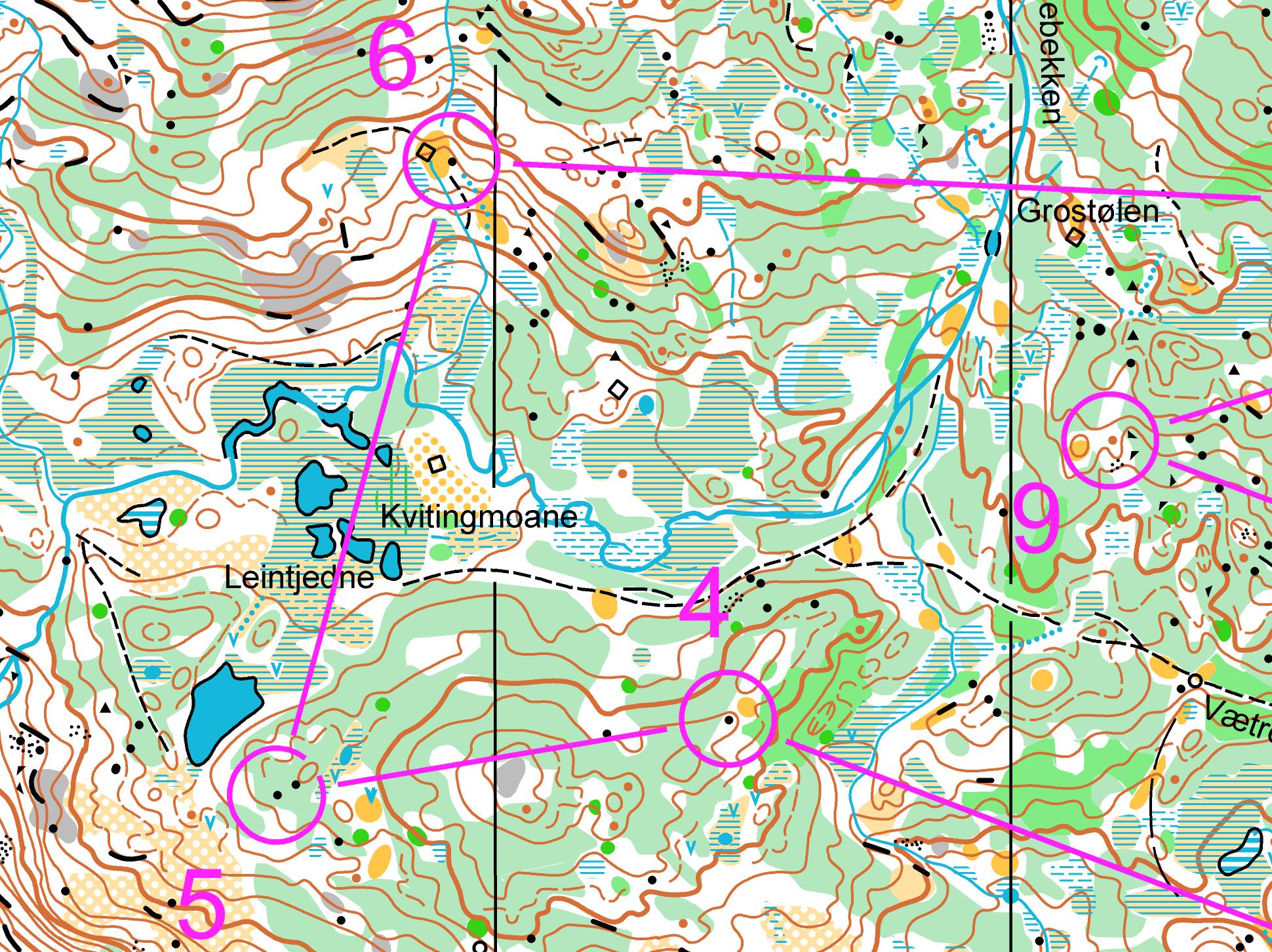 Treningsløp onsdag 1. juli