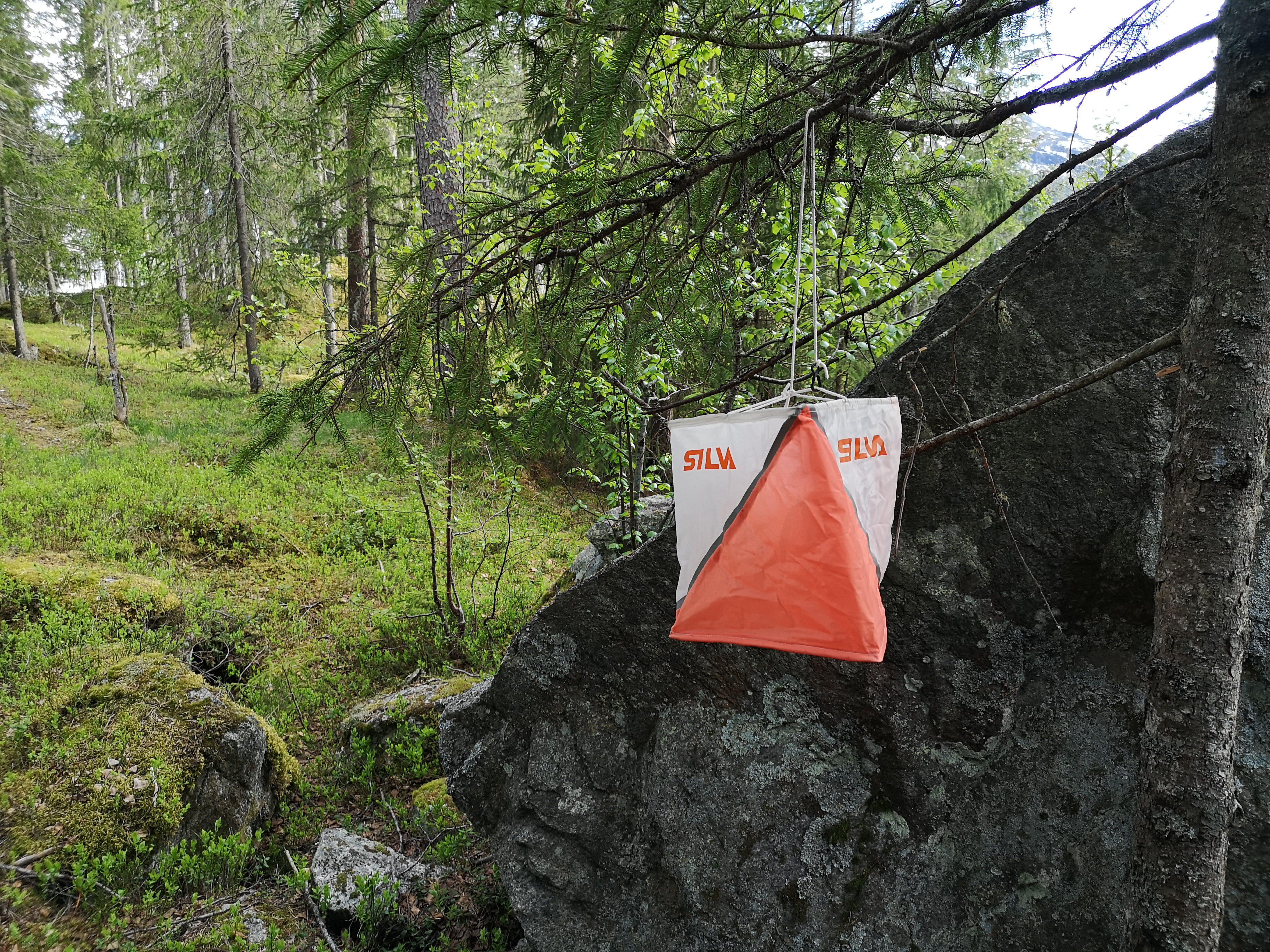 Treningsløp onsdag 10. juni
