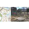 Geilo 28.07 - 01.08: 5 løp på 5 dager!