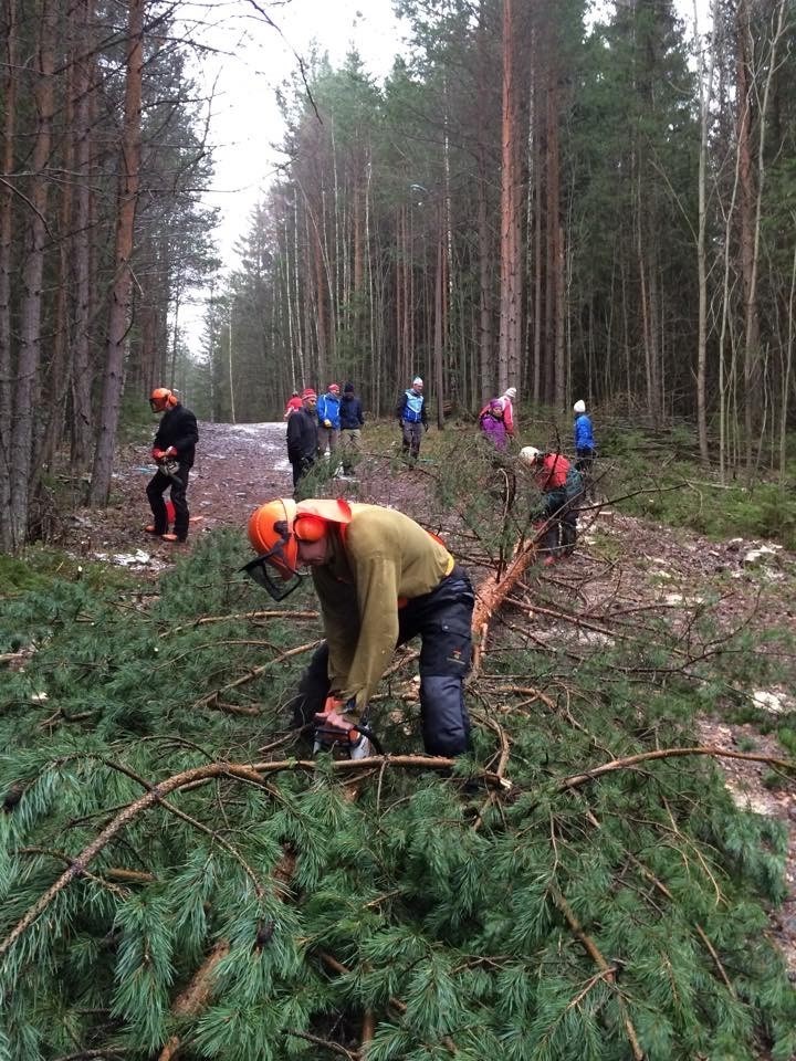 Dugnad i Furuberget lørdag 20. kl. 10.00. Møtested: Gubbestua.
