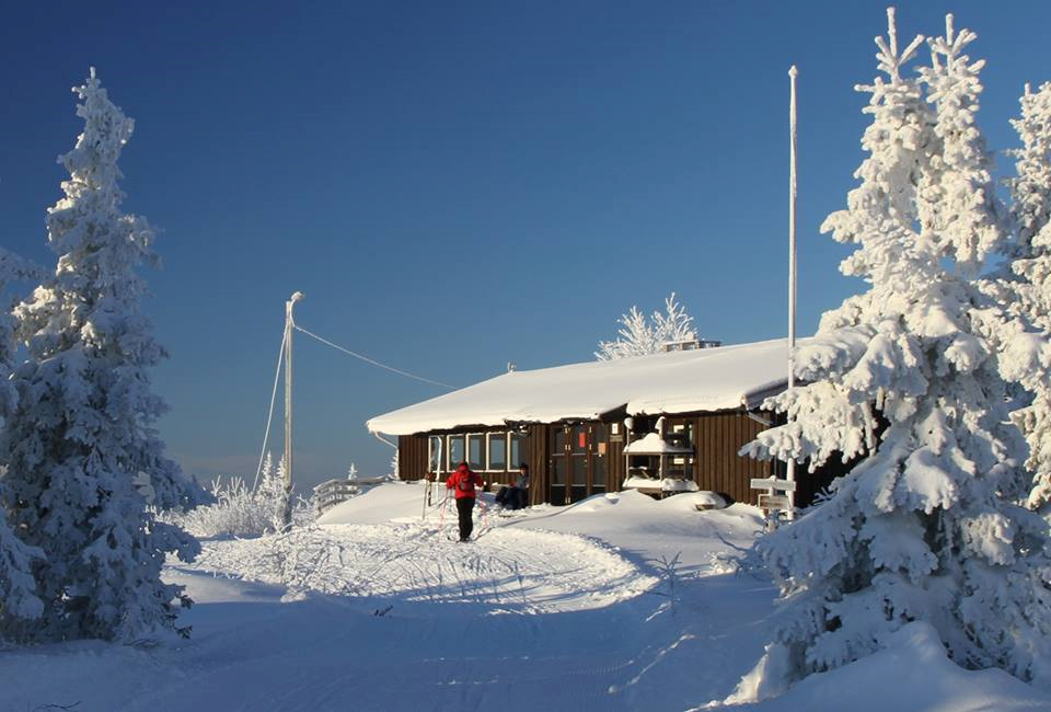 Dugnad på Stenfjellhytta vinteren 2019? Ber om svar på spørreundersøkelsen under....