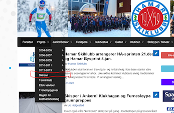 Skirenn vinteren 2019/2020
