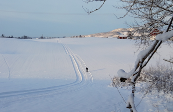 Skiløyper Furnes oppdatert torsdag 14.januar