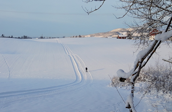 Skiløyper Hamar/Furnes, oppdatert 13.mars