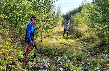 Dugnad i Furuberget lørdag 29.oktober kl 10.00