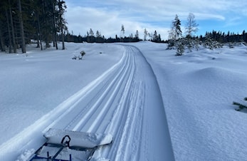 Skispor til Lekmyrkoia