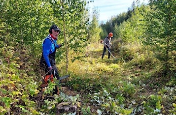 Dugnad i Furuberget lørdag 28.oktober kl 10.00