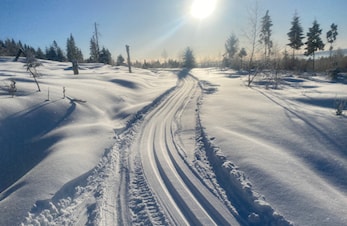 Fra Hamar til Stormyra