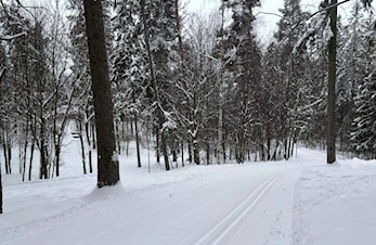 Kortreist skitur - topp forhold i Ankern
