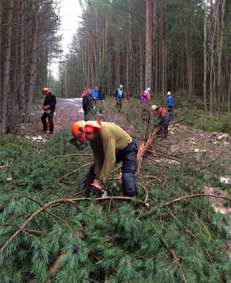 Dugnad i Furuberget lørdag 25. oktober 